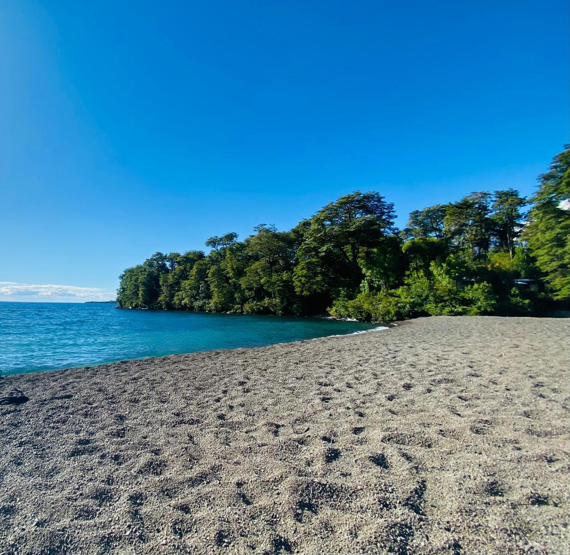 Ciervo Puerto Varas
